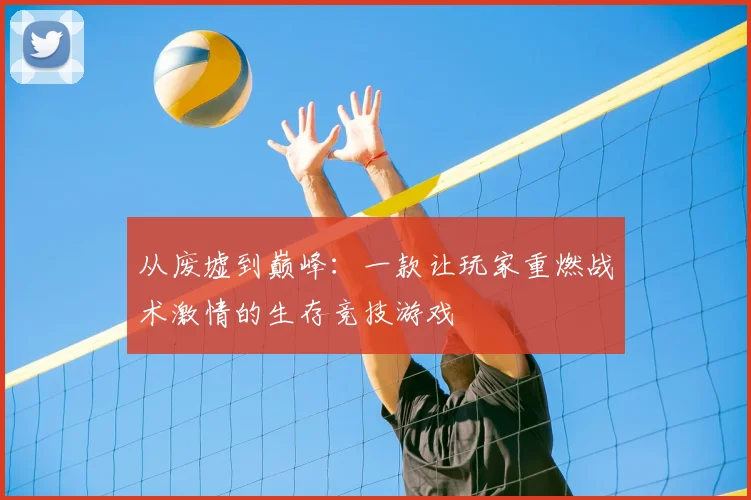 从废墟到巅峰：一款让玩家重燃战术激情的生存竞技游戏